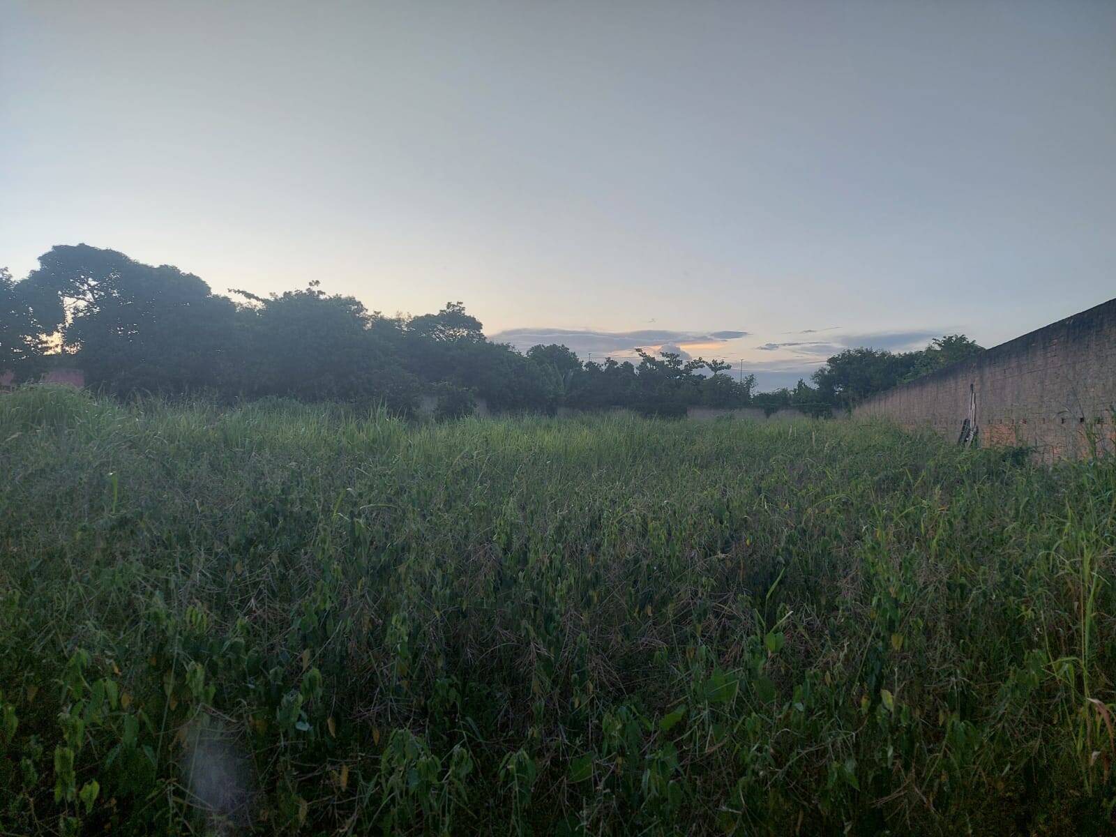 #389 - Área para Venda em Campos dos Goytacazes - RJ