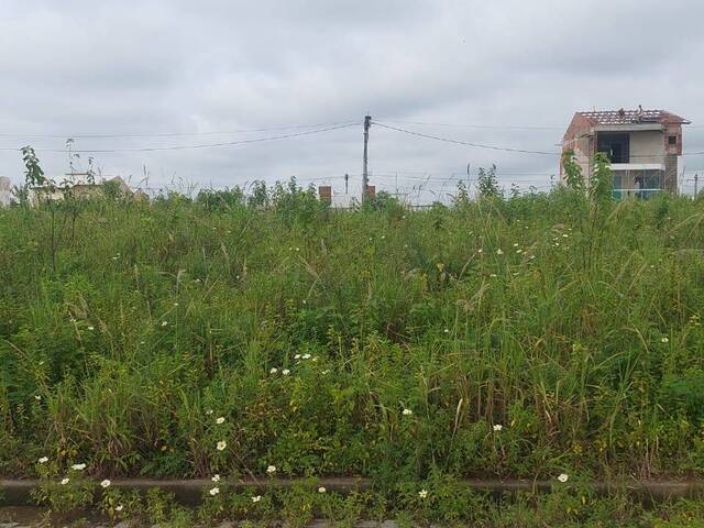 Terreno para Venda em Campos dos Goytacazes - 4