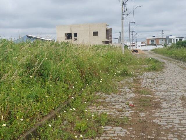 #259 - Terreno para Venda em Campos dos Goytacazes - RJ