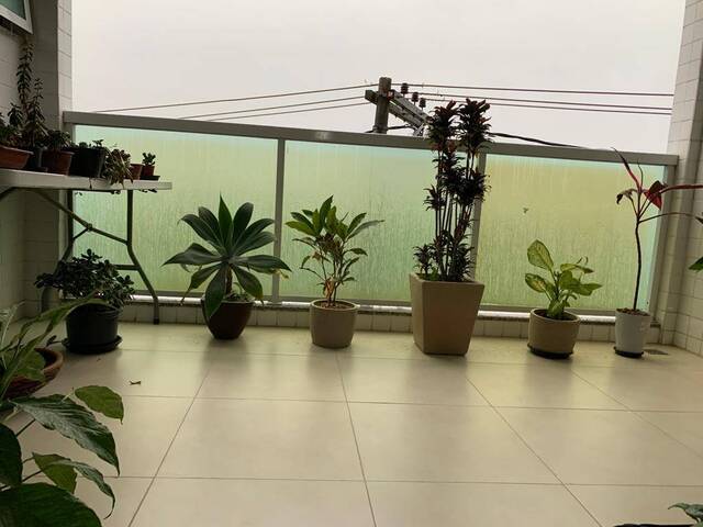 Apartamento para Venda em Campos dos Goytacazes - 4
