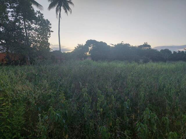 Área para Venda em Campos dos Goytacazes - 5