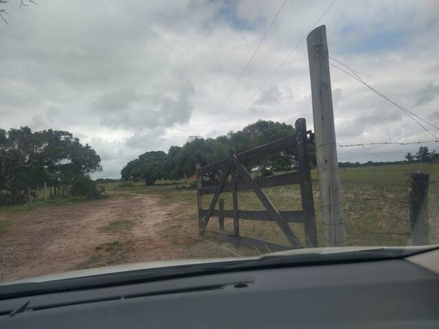 Fazenda para Venda em São João da Barra - 4