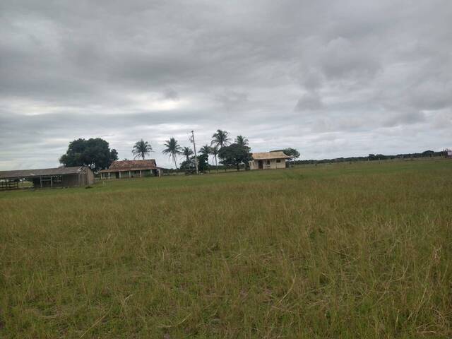 Fazenda para Venda em São João da Barra - 5